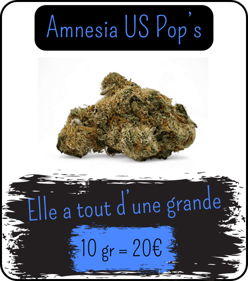 top ventes Grass au CBD- Amnesia US Pop's Indoor