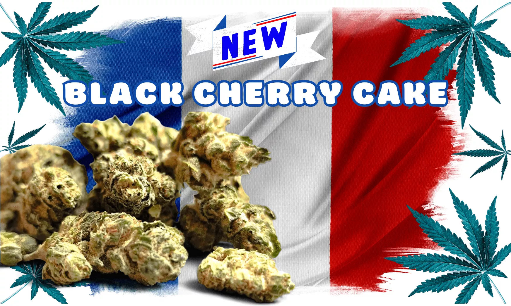 fleur cbd française - Black Cherry Cake
